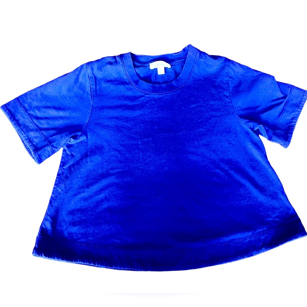 Wilfred blue crop top flare shirt size xxs